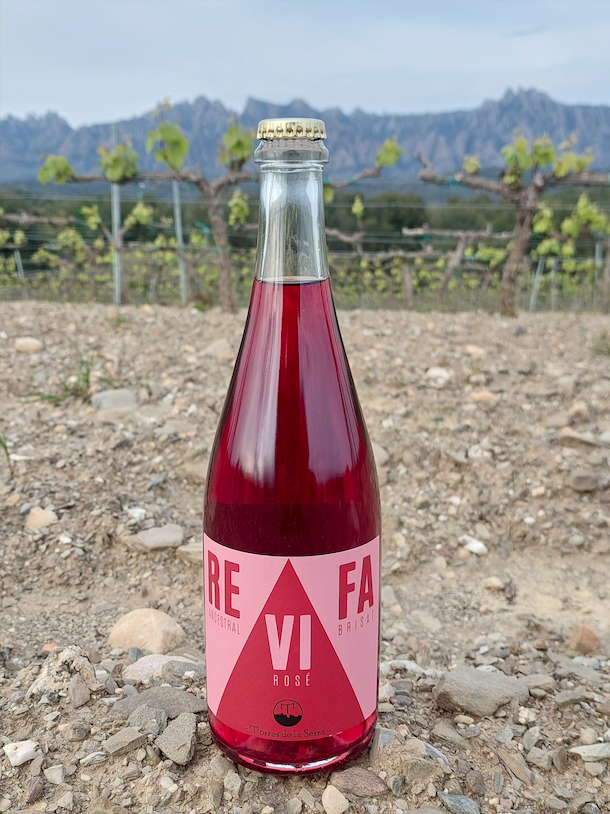 reVIfa rosat 2024