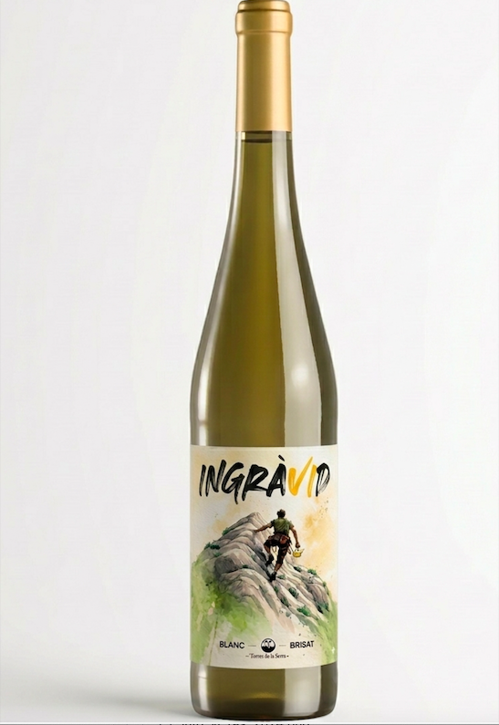 Ingràvid blanc brisat 2024