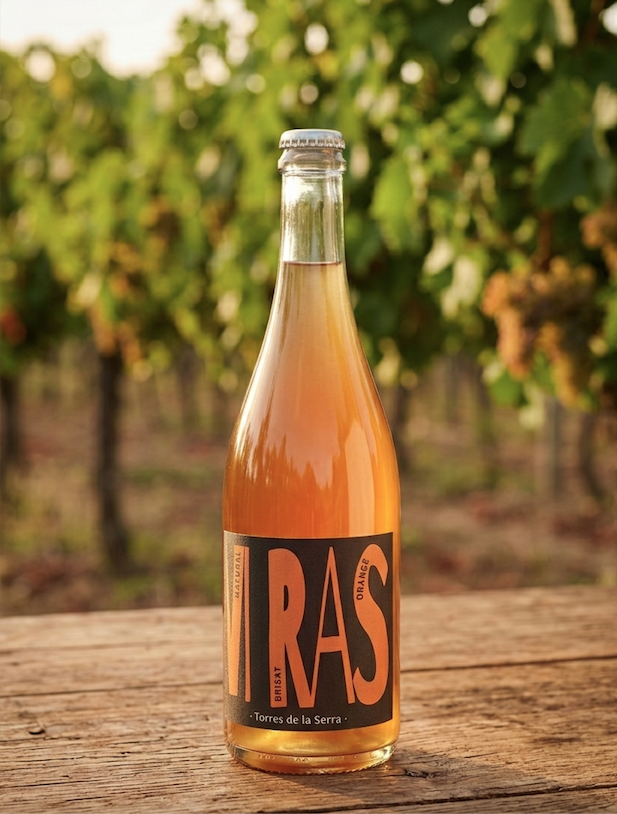 Vi RAS Orange 2023